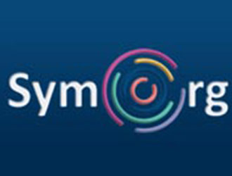 Burnout syndrom, Symorg 2010