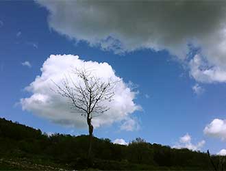 Oblike psihoterapije (modalitete)